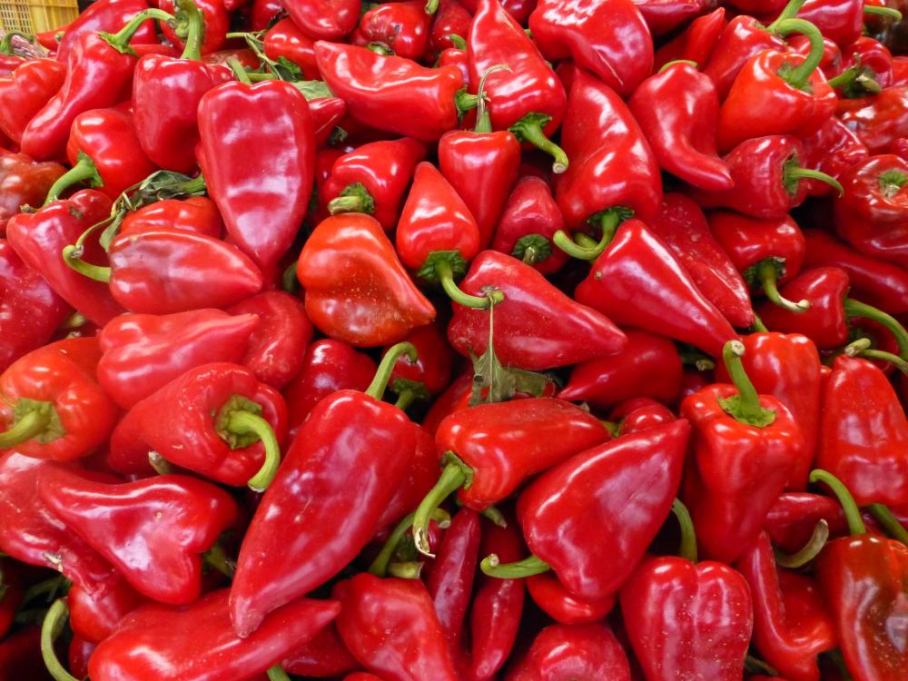 montón de pimientos del piquillo fresco